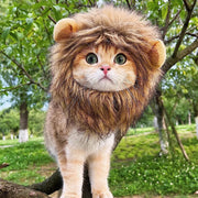 Unleash the Roar of Playfulness with Our Lion Mane Costume for Cats! Costume for Cats CovenantHomemaking 
