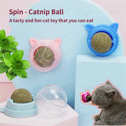 Catnip Wall Ball Cat Toys Pet Toys Mouth Cleaning Improve Digestion for Kittens Cat Toys supplypet.shop 